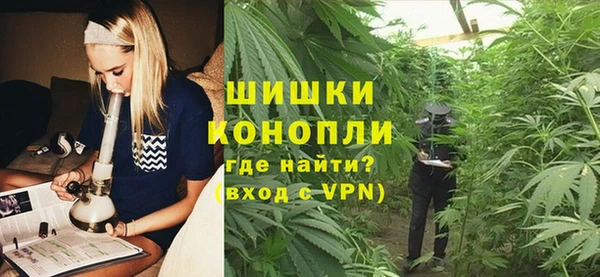 дживик Ладушкин