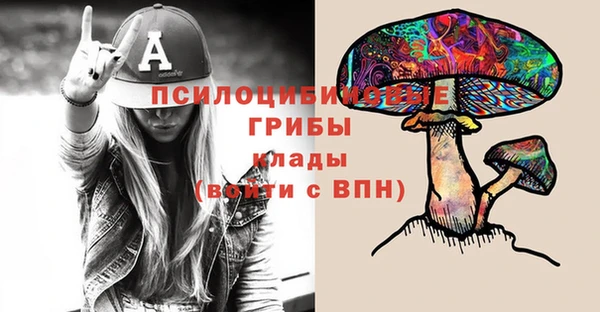 MDMA Лагань
