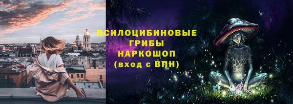 дживик Ладушкин