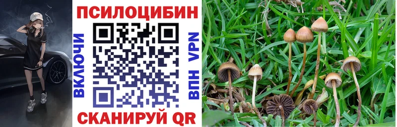 мориарти какой сайт  Ростов-на-Дону  Галлюциногенные грибы GOLDEN TEACHER 